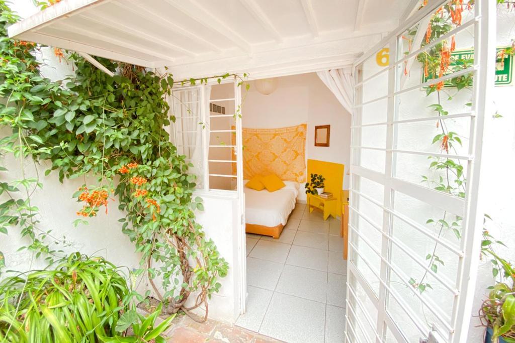 Casa Canario Hostel Guadalajara Exterior foto